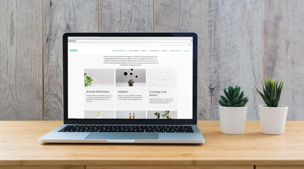 desarrollo de páginas web