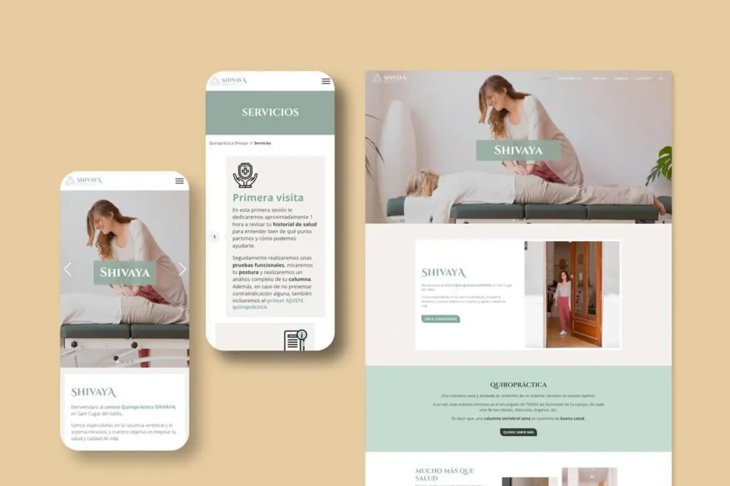 desarrollo web wordpress